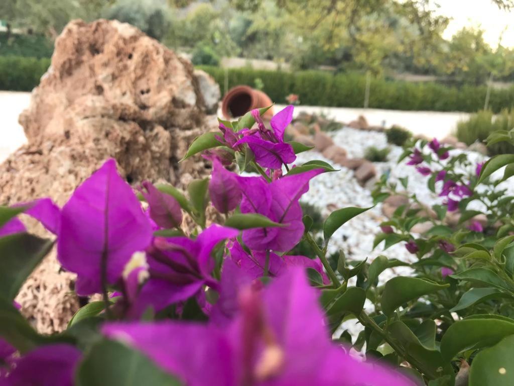 Alojamiento Rural Casa Fuente Del Prado Ла Ируела Екстериор снимка
