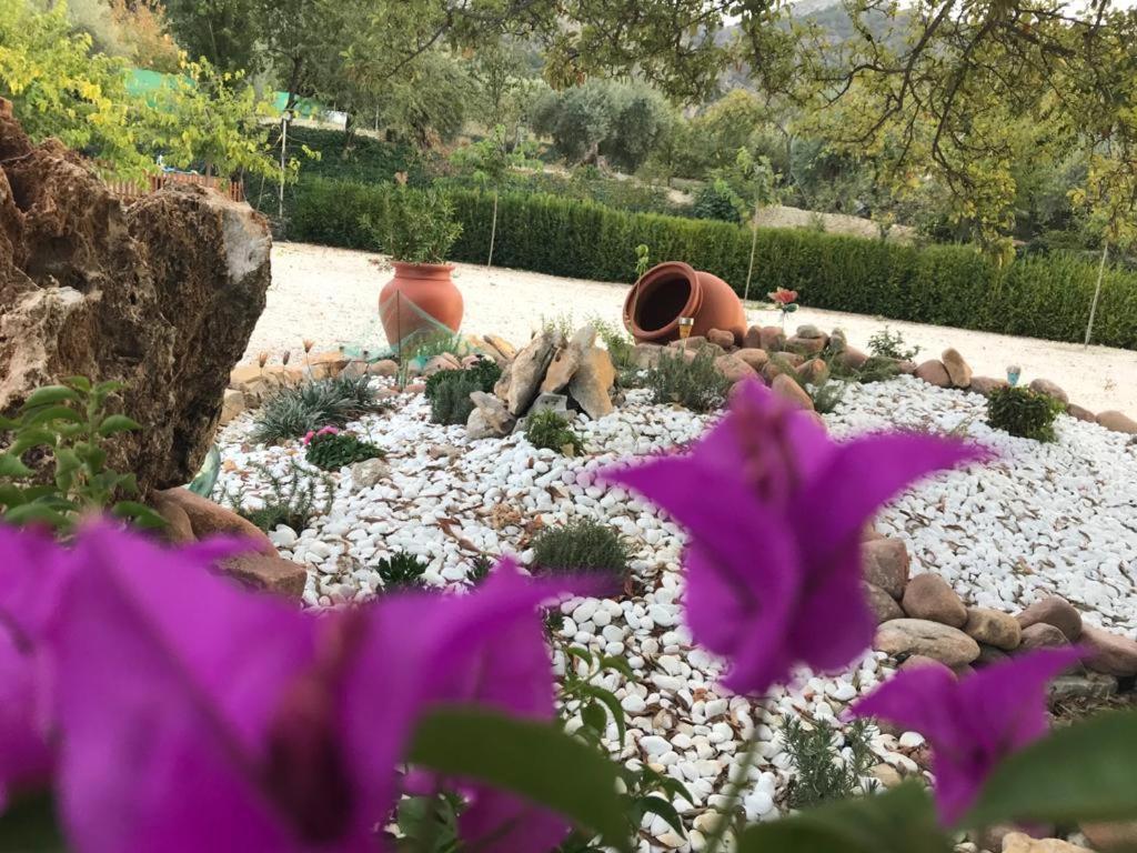 Alojamiento Rural Casa Fuente Del Prado Ла Ируела Екстериор снимка